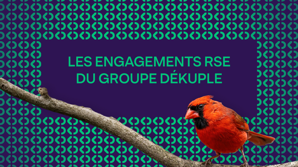 vignette-vidéo-RSE-Basse-def